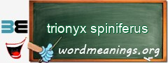 WordMeaning blackboard for trionyx spiniferus